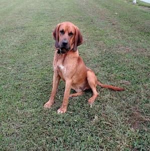 Meet your Posher, Judy